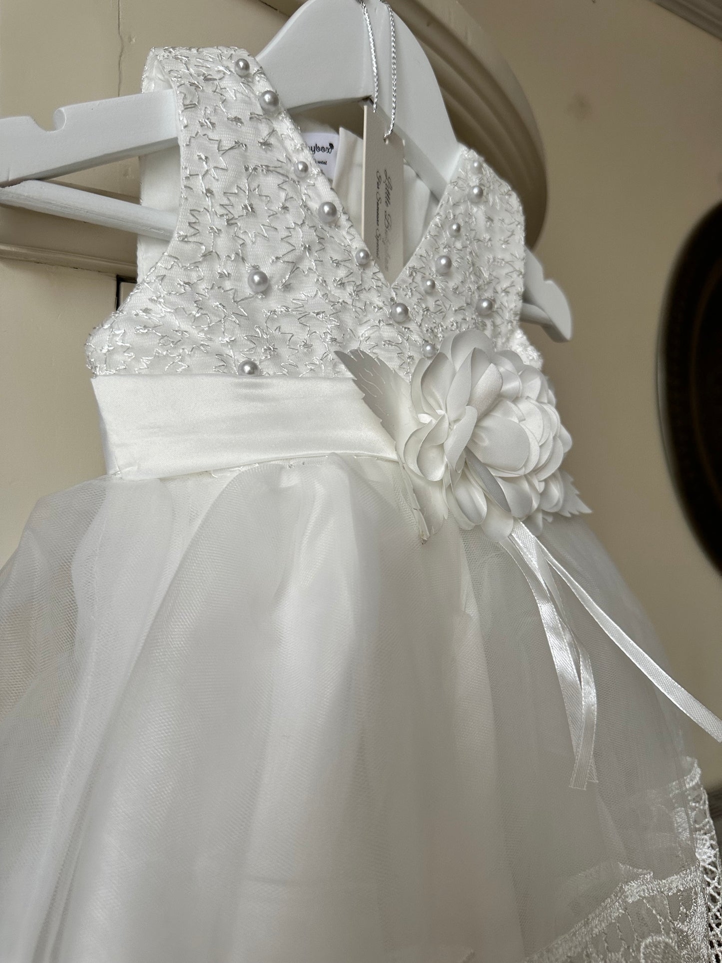 Savannah Special Occasion Dress